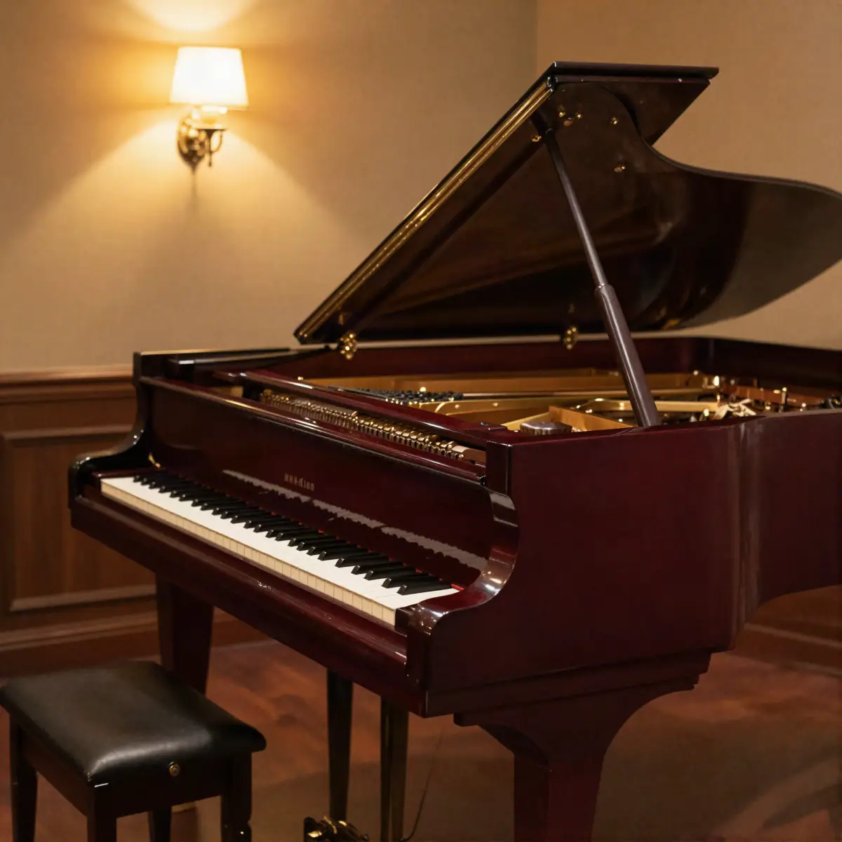 Jazz: a grand piano in a dim club